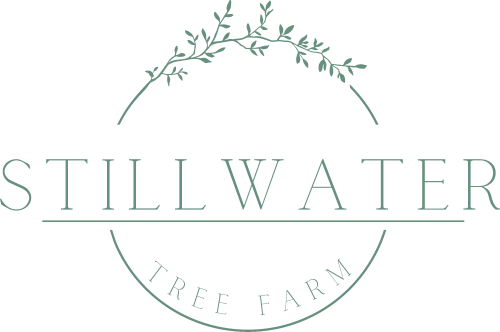 Stillwater Tree Farm